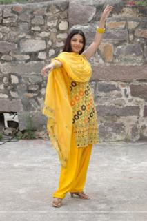 Bhoomika Chawla feet photo 19