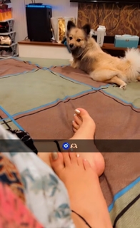 Bhumika Sharma feet photo 14