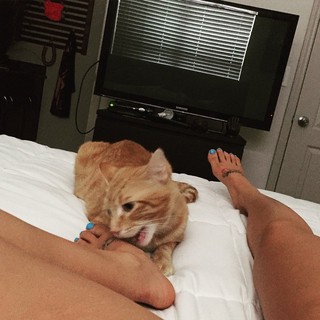 Bi Nguyen feet photo 13