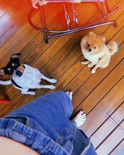 Bia Arantes feet photo 5