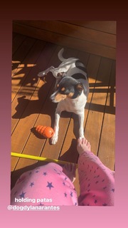 Bia Arantes feet photo 15