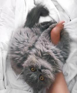 Bianca Anchieta feet photo thumbnail