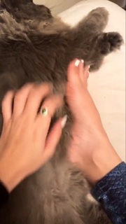 Bianca Anchieta feet photo thumbnail