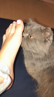 Bianca Anchieta feet photo thumbnail