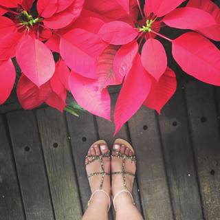 Bianca Andrade feet photo 8