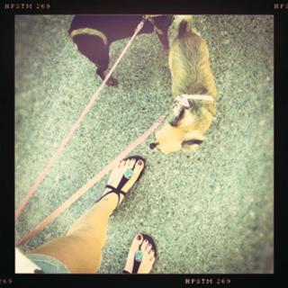 Bianca Atzei feet photo thumbnail