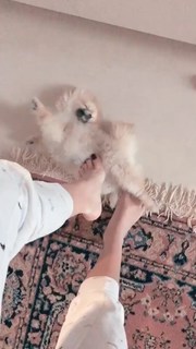 Bianca Atzei feet photo thumbnail