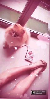 Bianca Atzei feet photo thumbnail