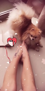 Bianca Atzei feet photo thumbnail