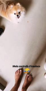 Bianca Atzei feet photo thumbnail