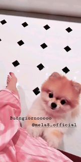 Bianca Atzei feet photo thumbnail