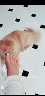 Bianca Atzei feet photo thumbnail