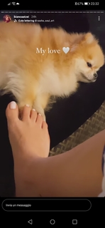 Bianca Atzei feet photo thumbnail