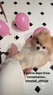 Bianca Atzei feet photo thumbnail