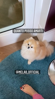 Bianca Atzei feet photo thumbnail