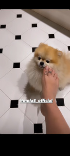 Bianca Atzei feet photo thumbnail