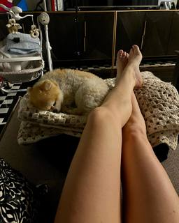 Bianca Atzei feet photo thumbnail