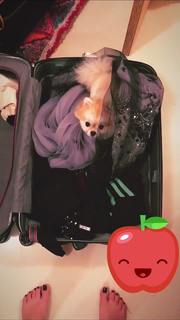 Bianca Atzei feet photo thumbnail