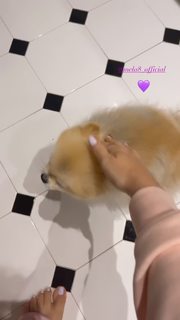 Bianca Atzei feet photo thumbnail