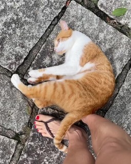 Bianca Jhordão feet photo 6
