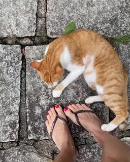 Bianca Jhordão feet photo 4