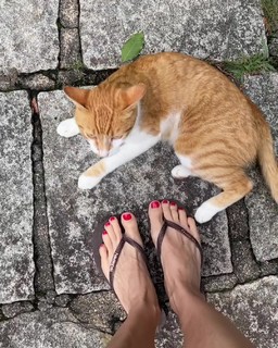 Bianca Jhordão feet photo 3