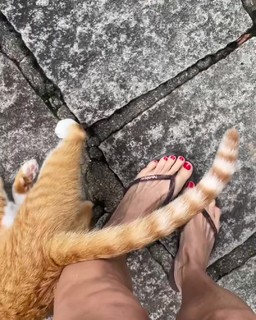 Bianca Jhordão feet photo 2