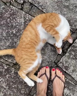 Bianca Jhordão feet photo 1