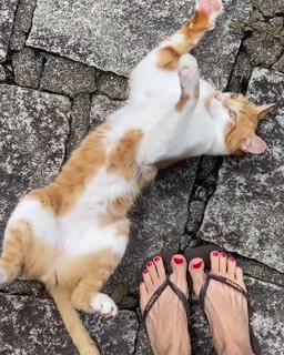 Bianca Jhordão feet photo 20