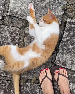Bianca Jhordão feet photo 19