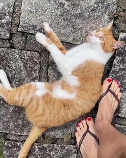 Bianca Jhordão feet photo 18