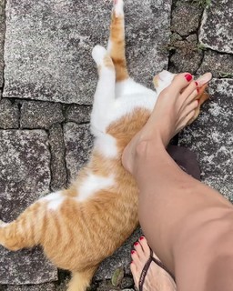Bianca Jhordão feet photo 17