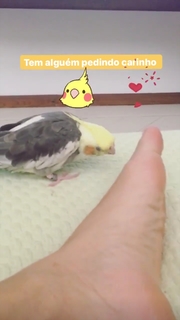 Bianca Rinaldi feet photo 14