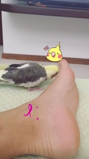 Bianca Rinaldi feet photo 13