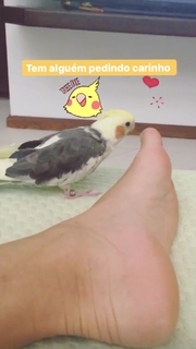 Bianca Rinaldi feet photo 11