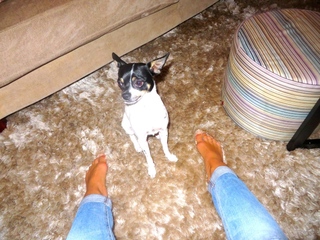 Bianca Wahlgren feet photo 7
