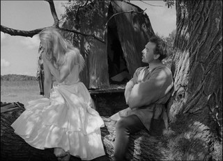 Bibi Andersson feet photo 13