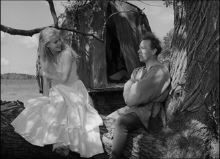 Bibi Andersson feet photo 8