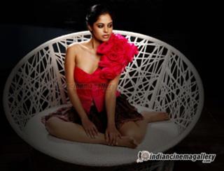 Bindhu Madhavi feet photo 3