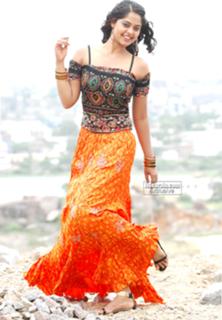 Bindhu Madhavi feet photo 11