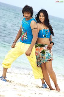 Bindhu Madhavi feet photo 10