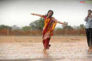 Bindhu Madhavi feet photo 8
