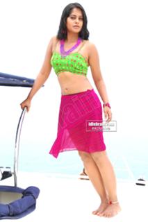 Bindhu Madhavi feet photo 20