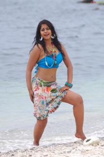 Bindhu Madhavi feet photo 2