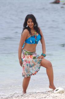 Bindhu Madhavi feet photo 1