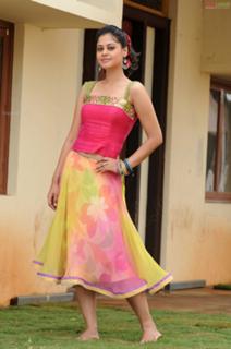 Bindhu Madhavi feet photo 3