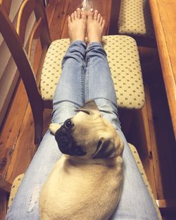 Bindi Irwin feet photo thumbnail