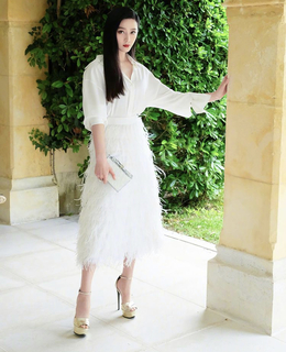 Bingbing Fan feet photo thumbnail