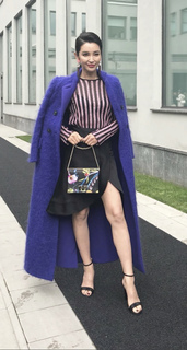 Bingbing Li feet photo thumbnail