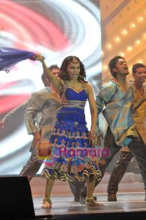 Bipasha Basu feet photo thumbnail